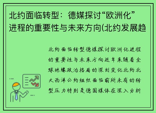 北约面临转型：德媒探讨“欧洲化”进程的重要性与未来方向(北约发展趋势)