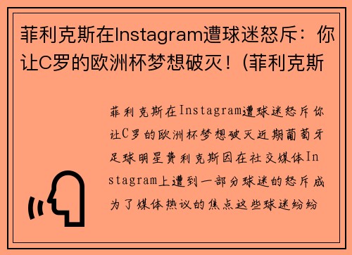 菲利克斯在Instagram遭球迷怒斥：你让C罗的欧洲杯梦想破灭！(菲利克斯转会)