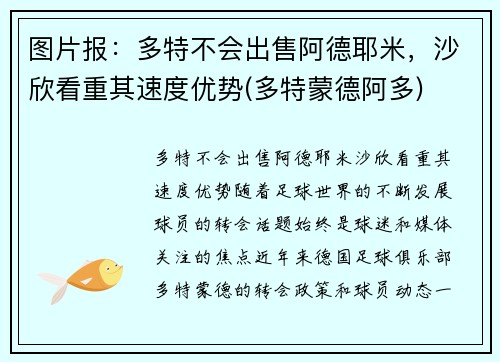 图片报：多特不会出售阿德耶米，沙欣看重其速度优势(多特蒙德阿多)