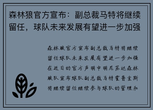 森林狼官方宣布：副总裁马特将继续留任，球队未来发展有望进一步加强