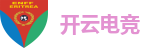 开云电竞